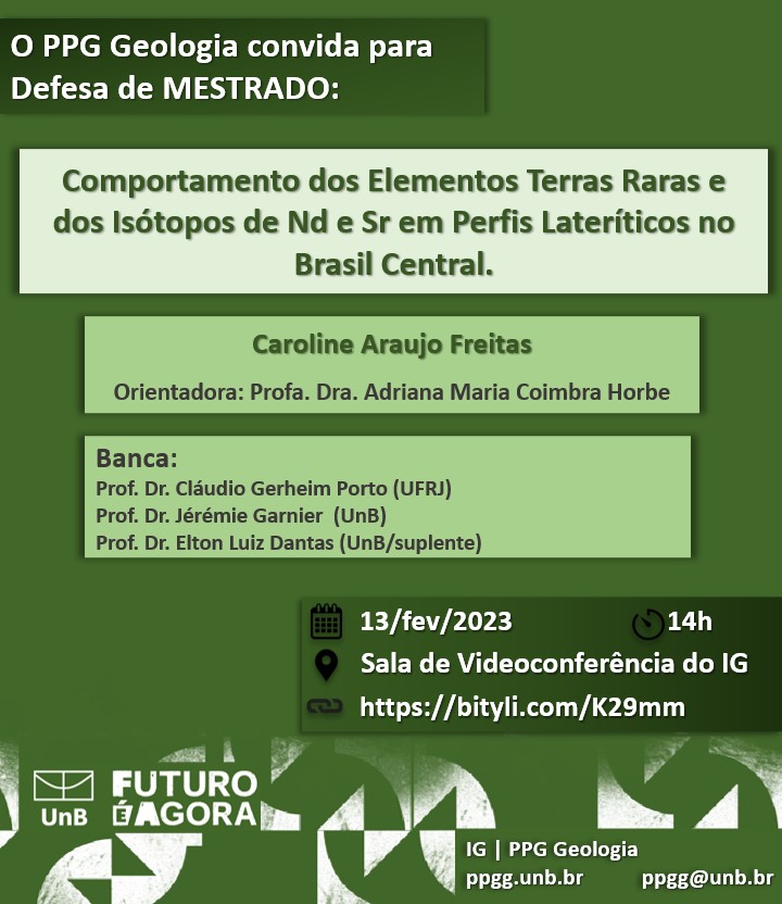 Defesa Mestrado Caroline Araujo Freitas 3